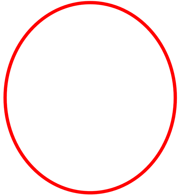 Omega Peak Performance